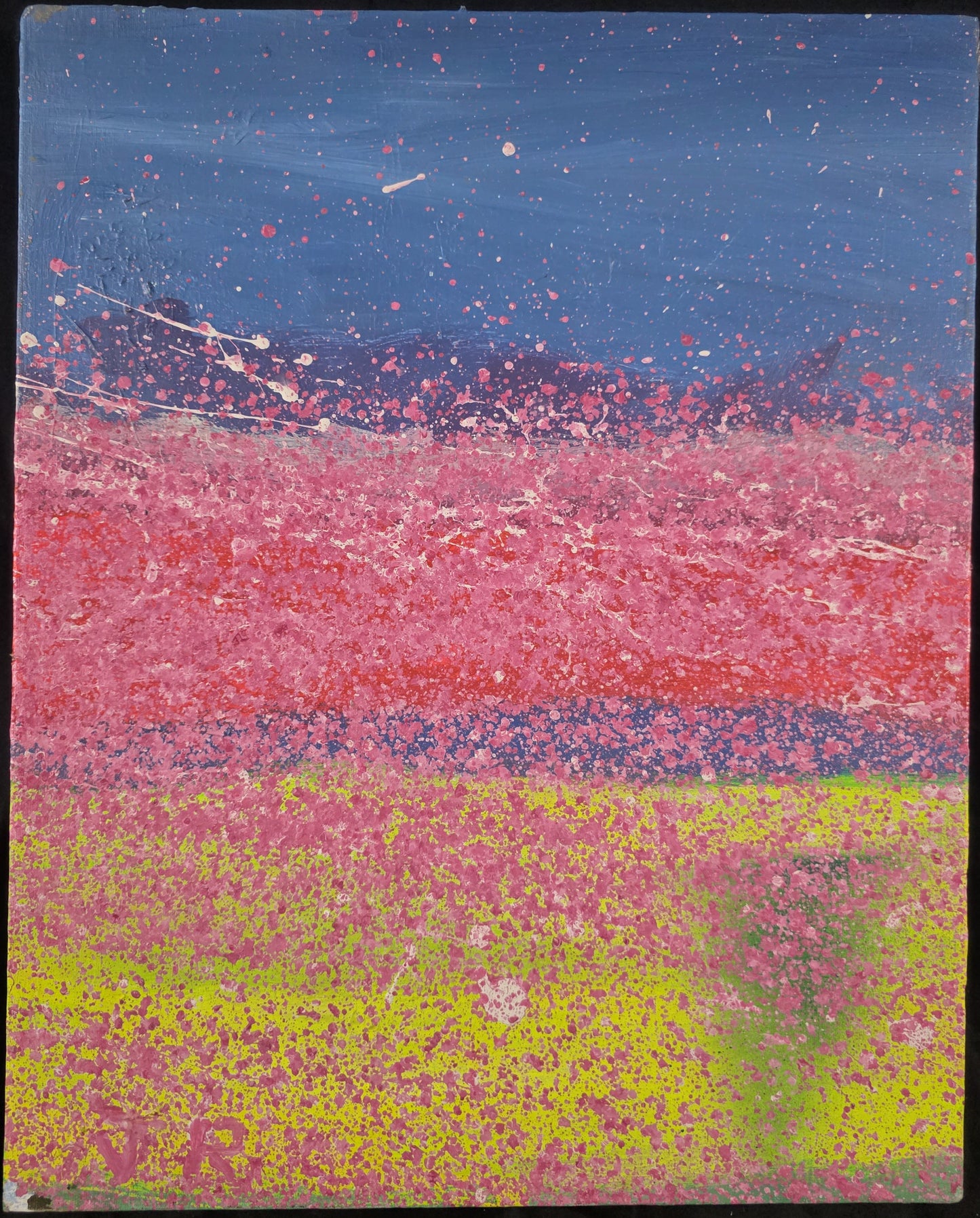 Nocturnal 16x20