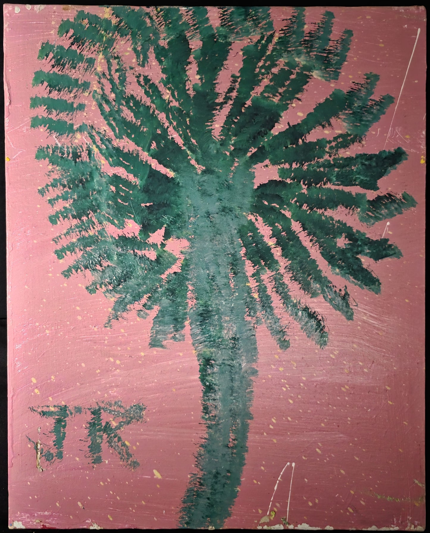 Fan Palm 20x16
