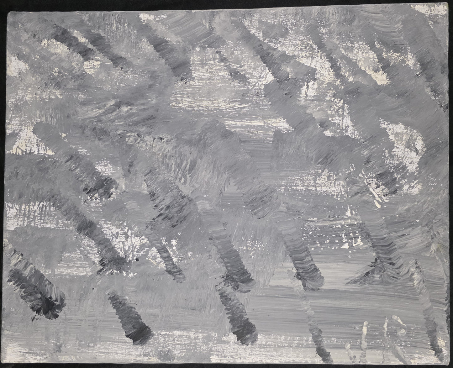 Forest 20x16