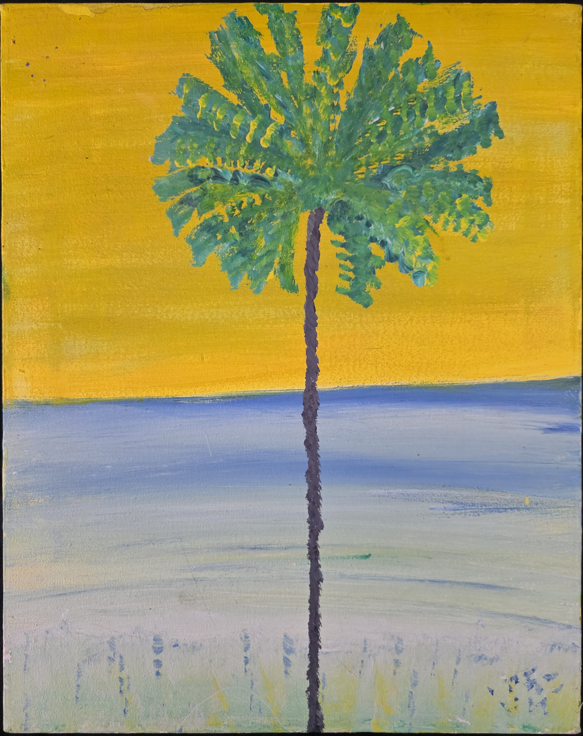 Daffodil 20x16
