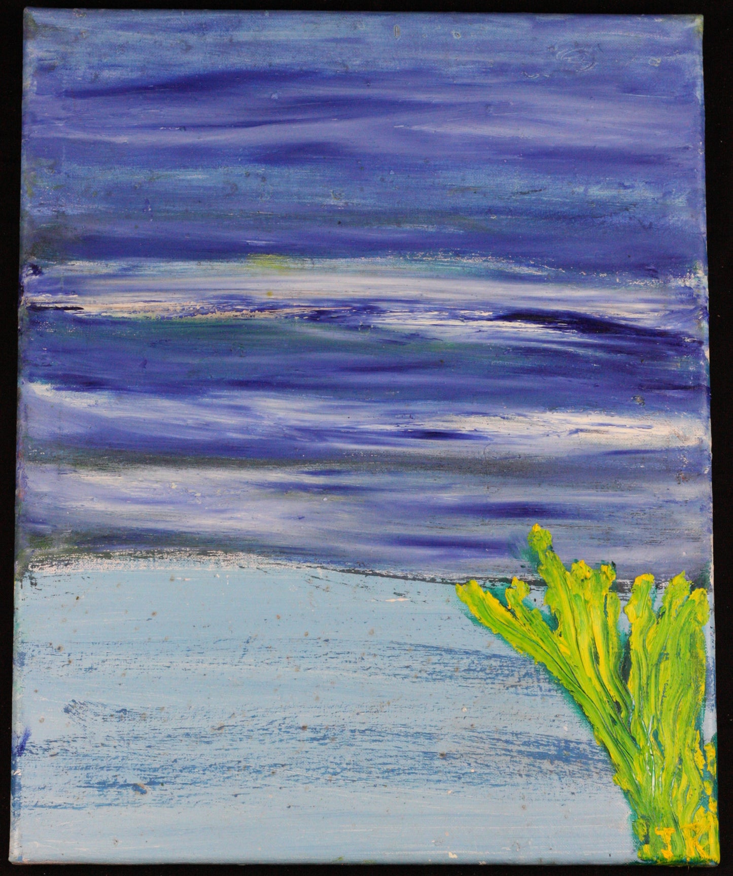 Blue Waters 20x16
