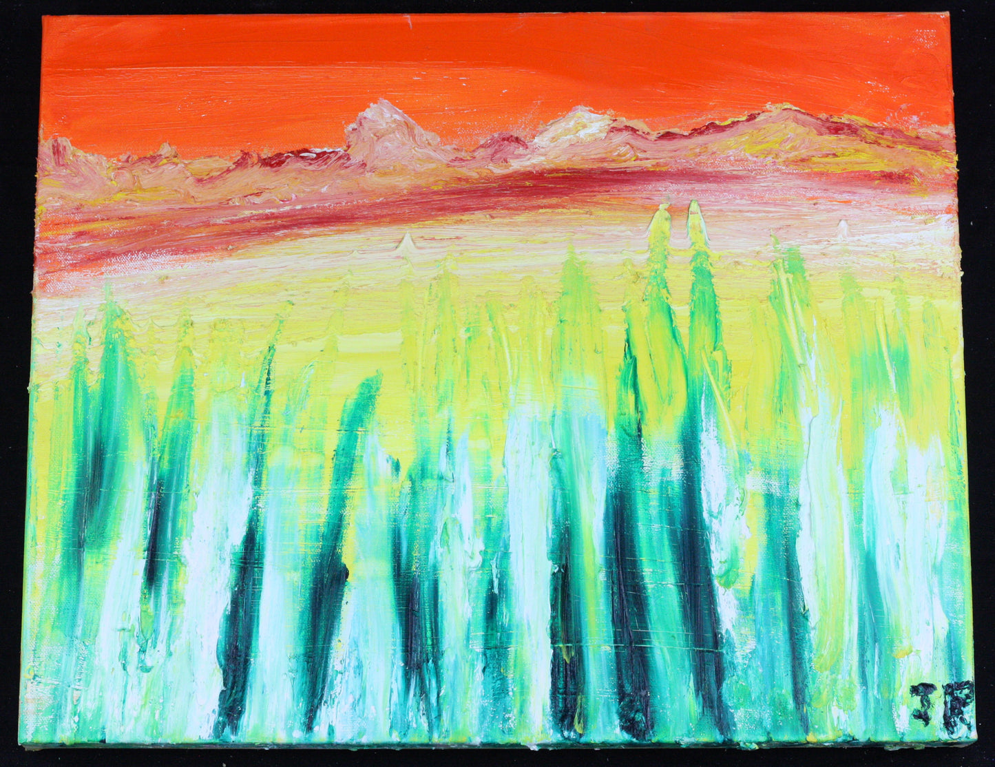 Mountain Skies 16x20